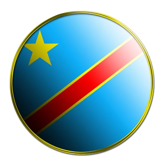 Institutions et services du numérique